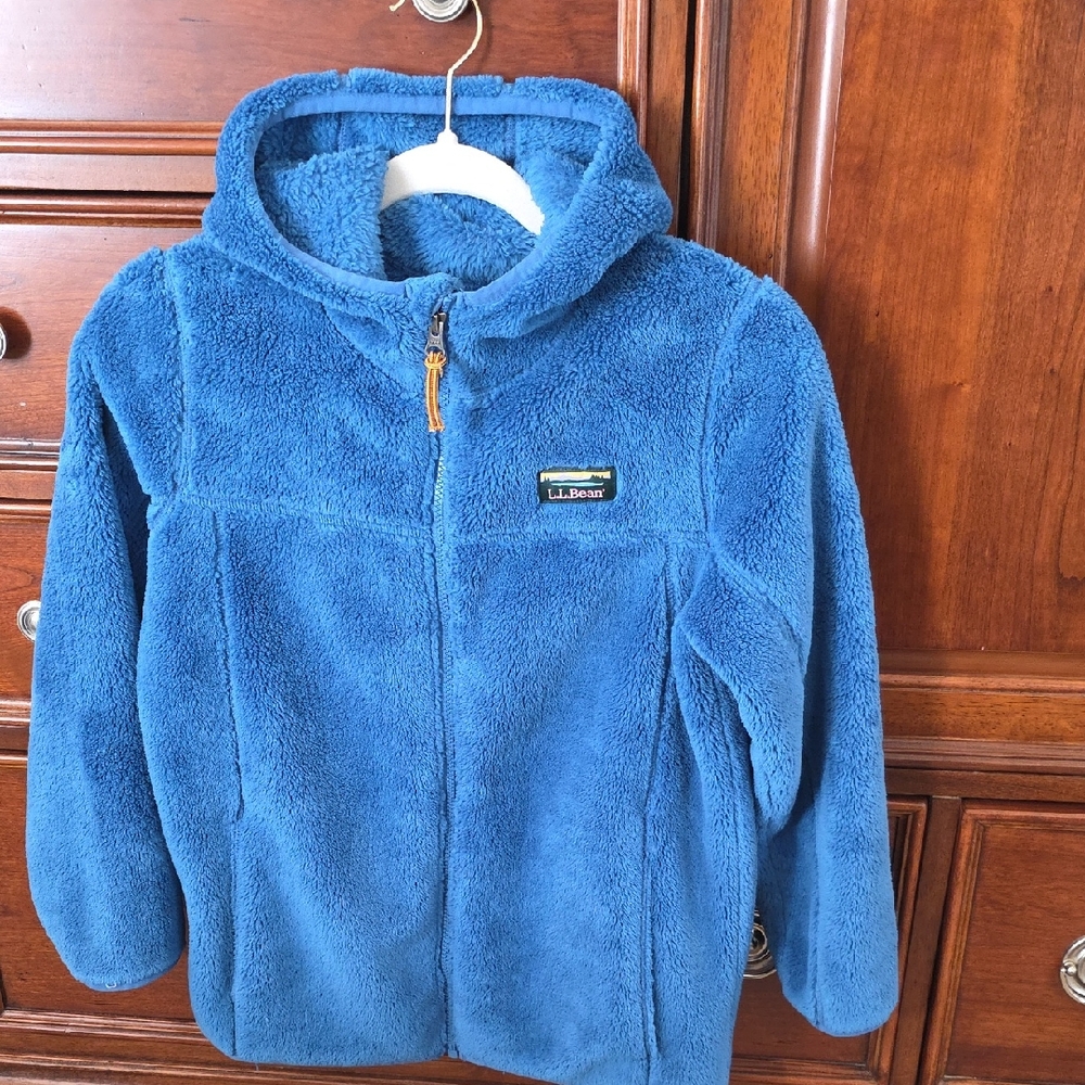 L.L. Bean Cozy Blue Fleece Hoodie